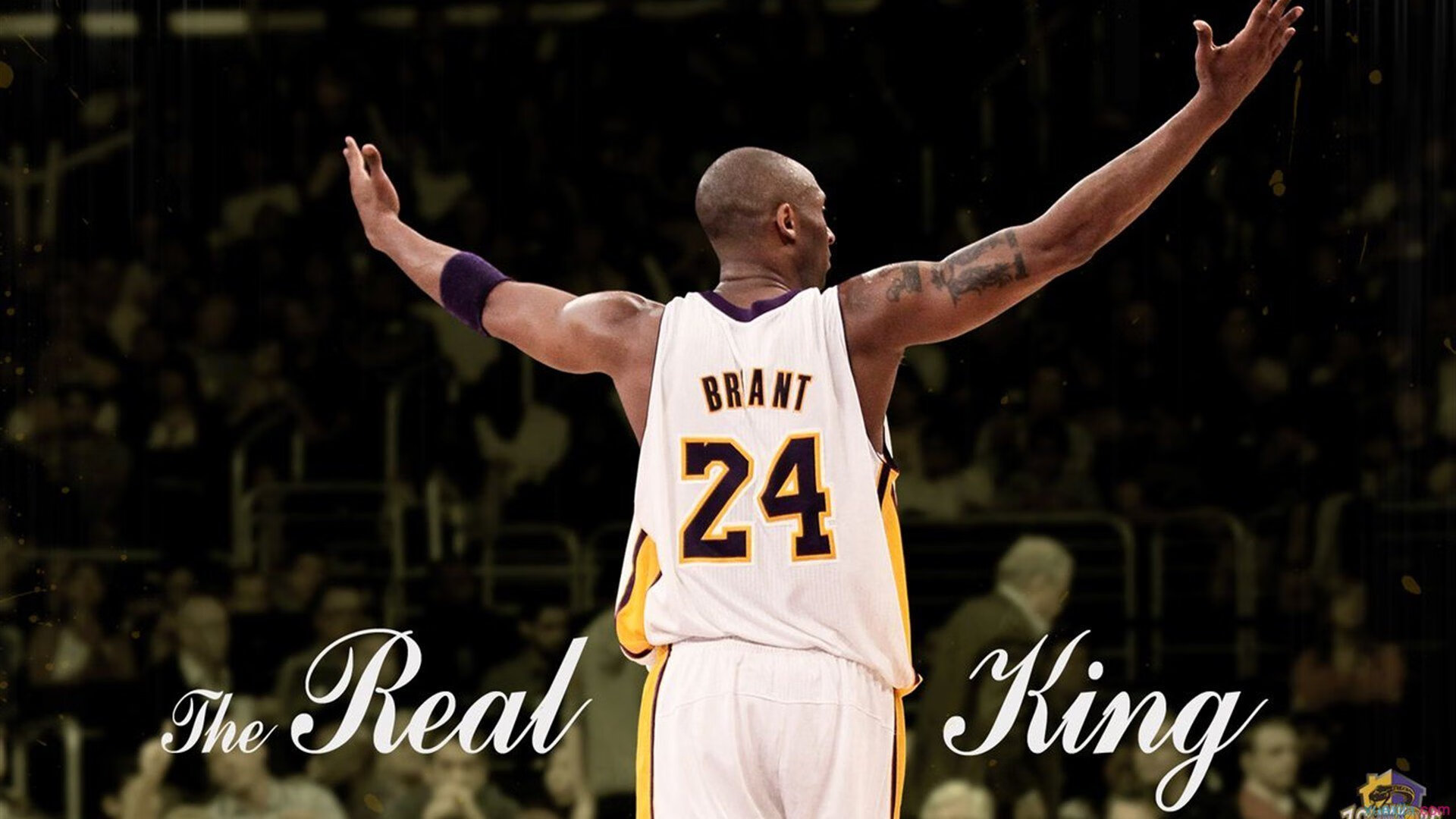 开云平台-_城市光影跑：用光色串联你的运动瞬间_，城市光影说说